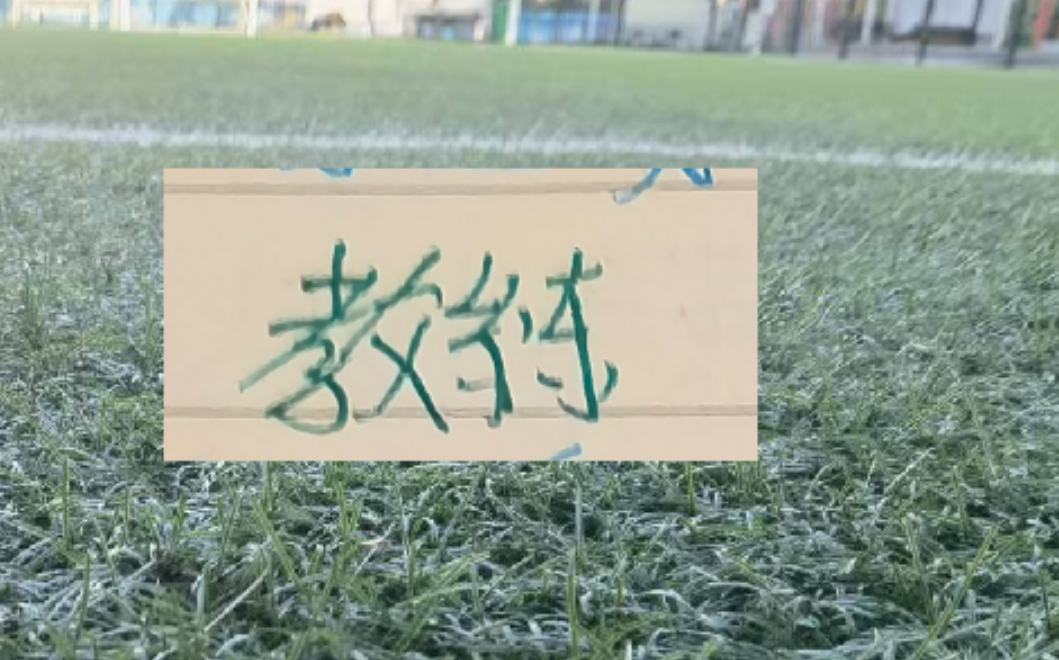 九游娱乐-2025赛季北京国安的塞蒂恩+拉米罗 算是成功的吗？